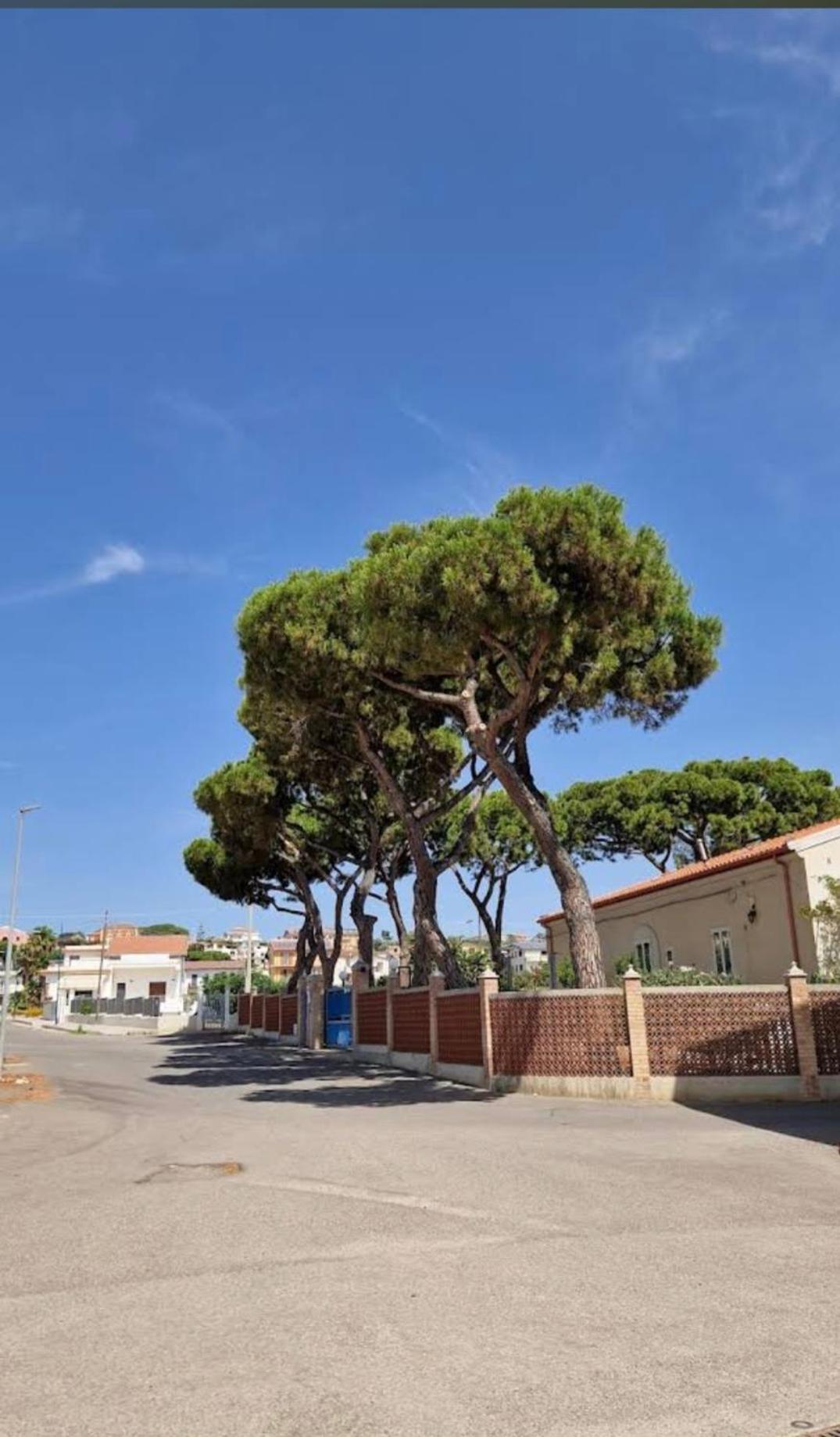 Bed and Breakfast Il Sogno Di Calipso Amendolara Exterior foto